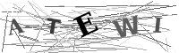 Please refresh your browser to see this image.