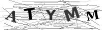 Please refresh your browser to see this image.