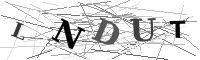 Please refresh your browser to see this image.