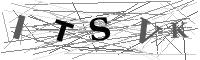 Please refresh your browser to see this image.