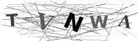 Please refresh your browser to see this image.