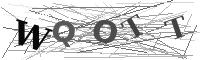 Please refresh your browser to see this image.