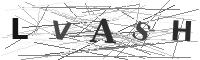 Please refresh your browser to see this image.
