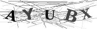 Please refresh your browser to see this image.