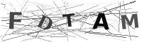 Please refresh your browser to see this image.