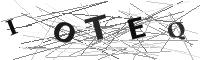 Please refresh your browser to see this image.