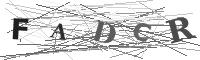 Please refresh your browser to see this image.
