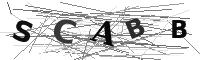 Please refresh your browser to see this image.