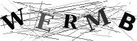 Please refresh your browser to see this image.