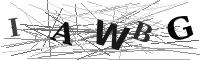 Please refresh your browser to see this image.
