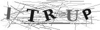 Please refresh your browser to see this image.